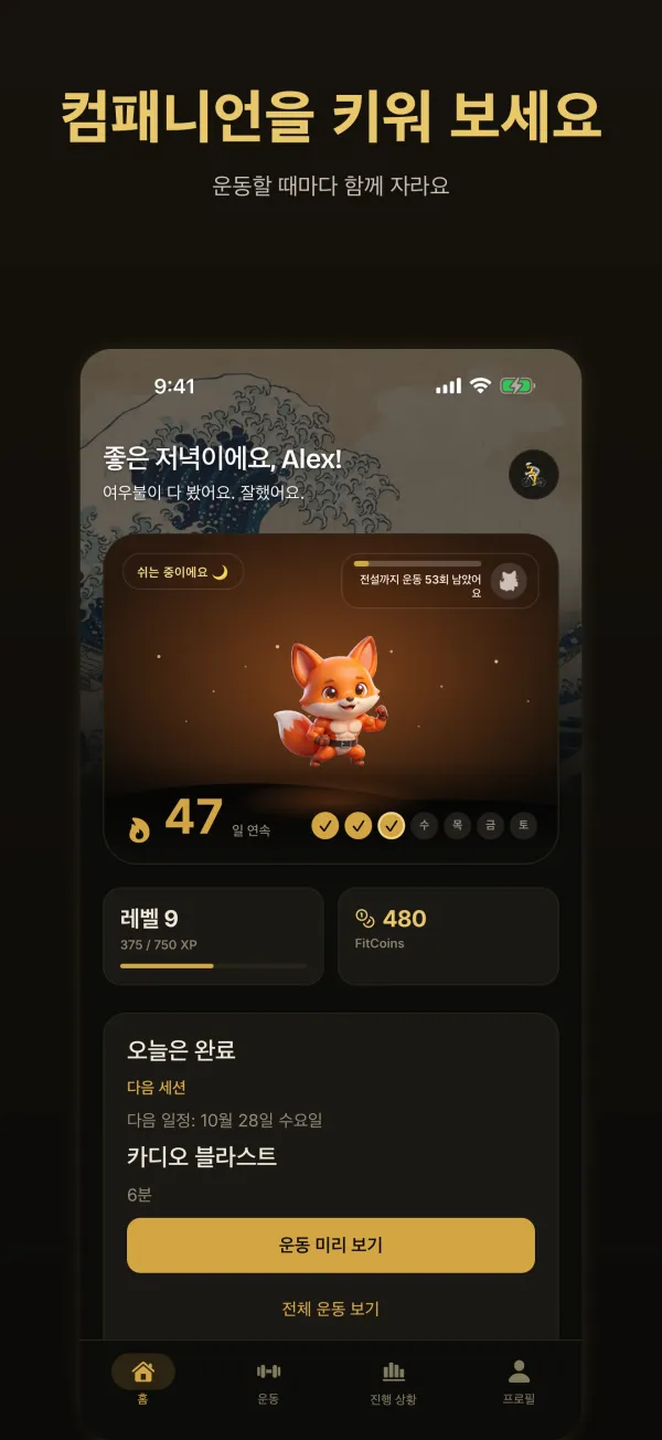 컴패니언을 키워 보세요: 여우불, 47일 연속 스트릭, 다음 세션이 보이는 홈 화면